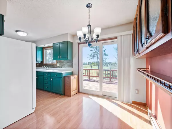 Glenwood Twp, MN 56334,16370 SE Amelia RD