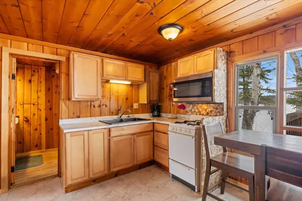 Greenwood Twp, MN 55790,2001 A&B Bayview DR