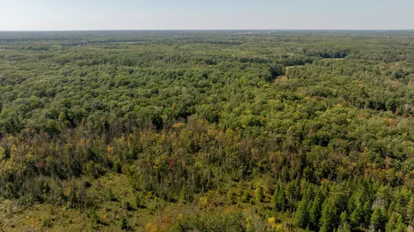 Brainerd, MN 56401,10567 Black Bear RD