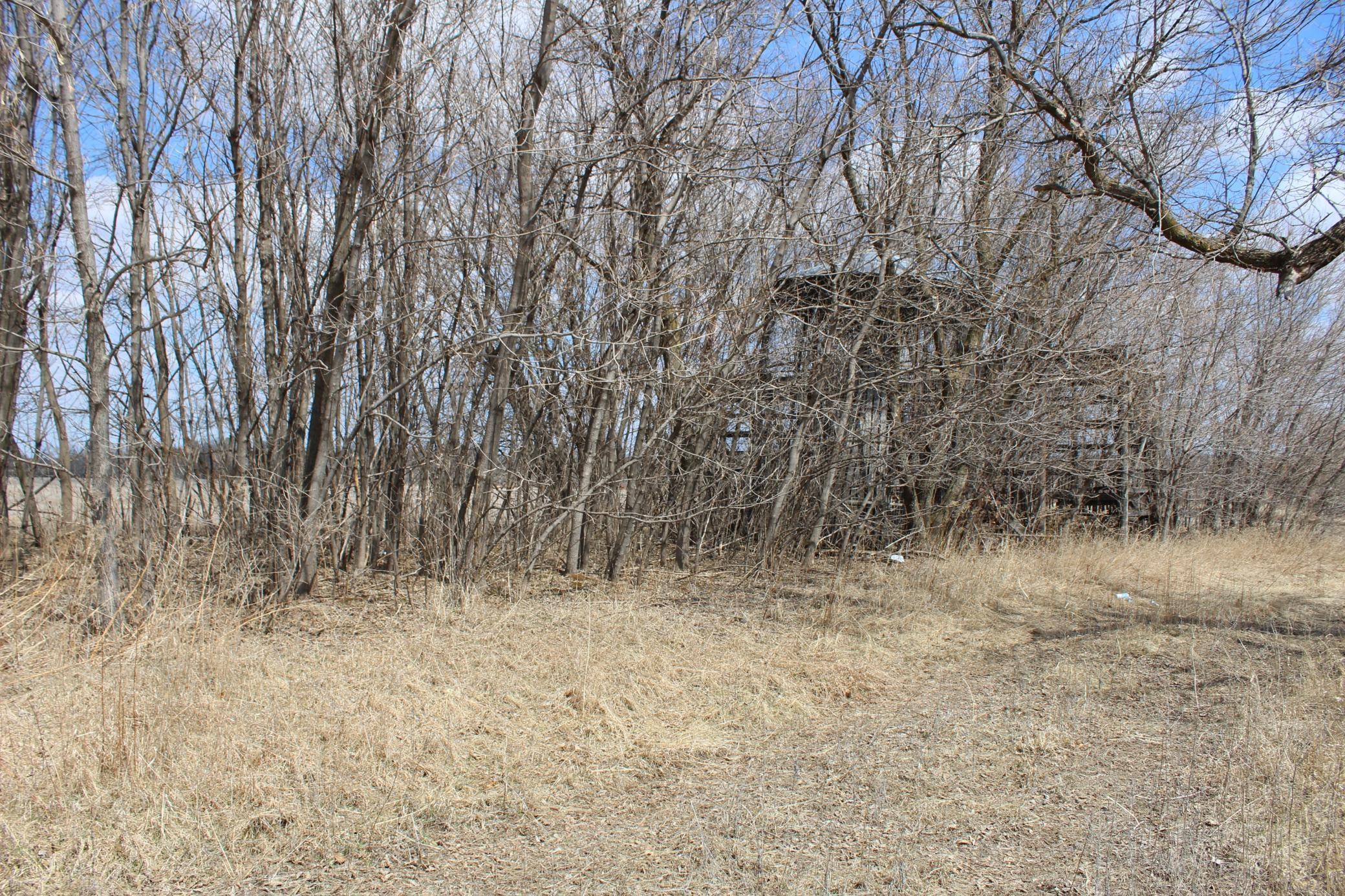 Stanchfield Twp, MN 55006,XXXX HWY 65 NE