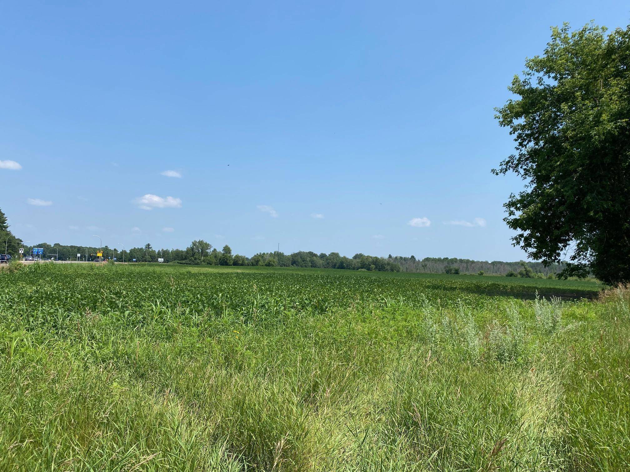 XXXX HWY 65 NE, Stanchfield Twp, MN 55006
