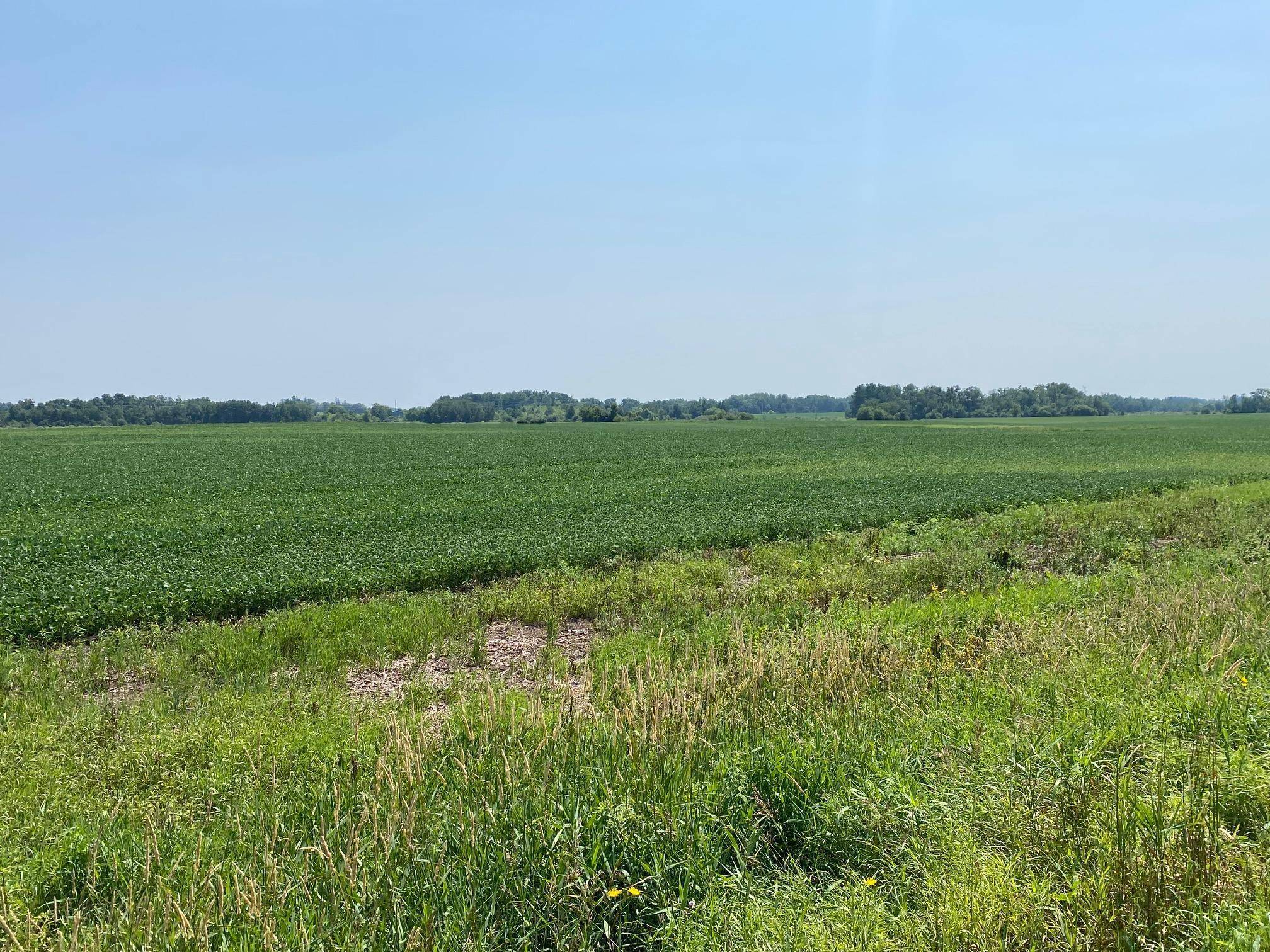40525 Highway 65 NE, Stanchfield Twp, MN 55006