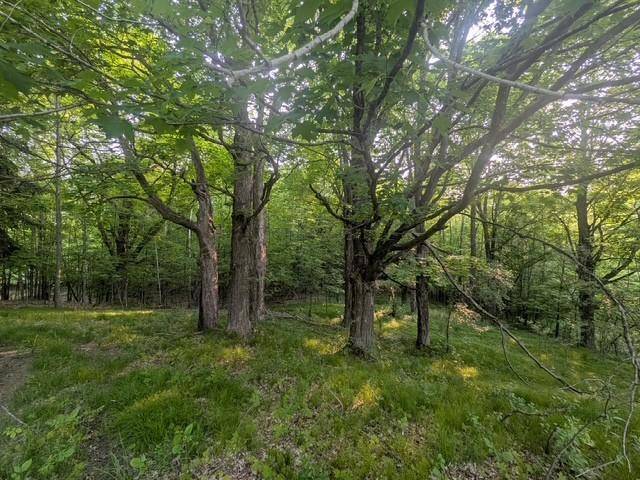 Turtle Lake, WI 54889,715 Logan AVE E