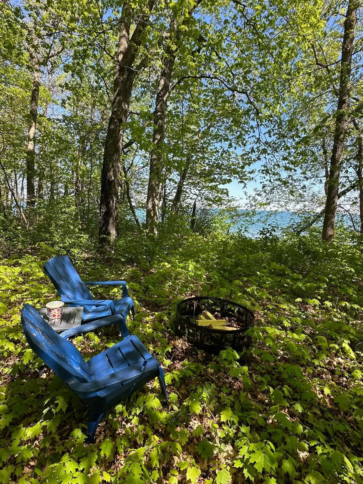 Cass Lake, MN 56633,TBD Ottertail Point DR NW
