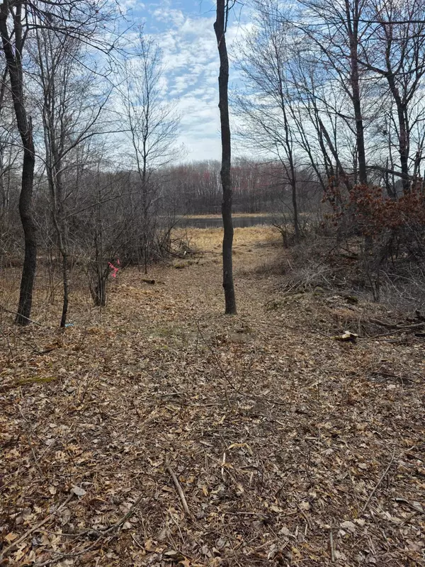 Cambridge, MN 55008,891 Elins Lake RD SE