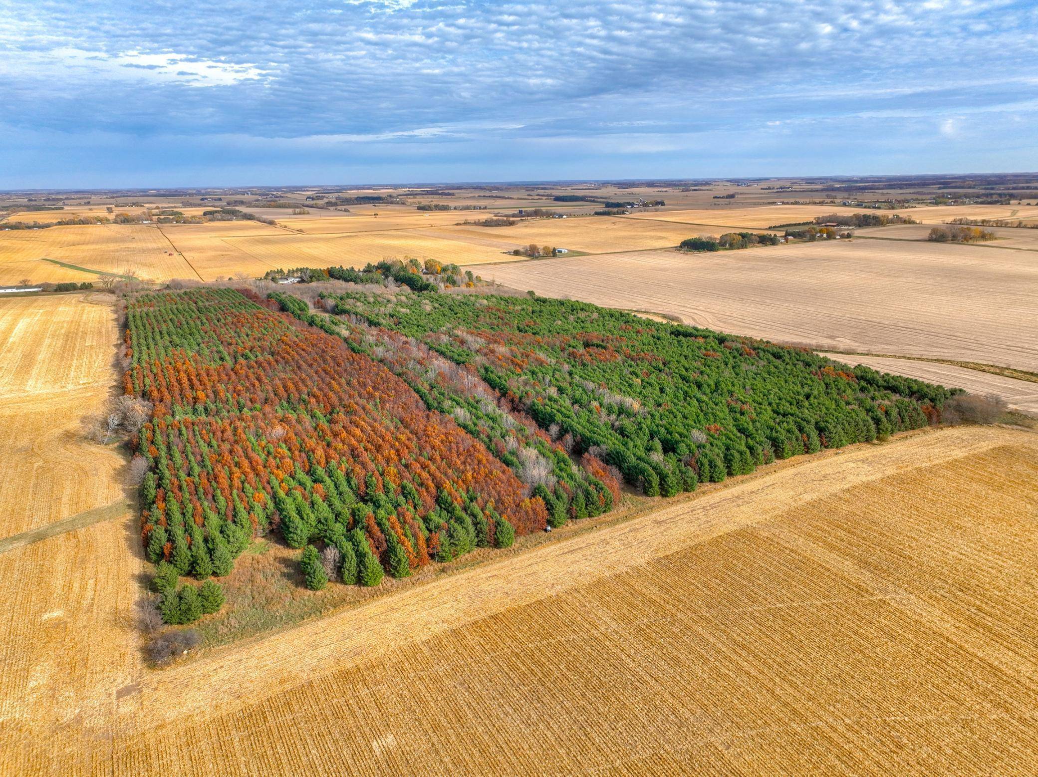 Hammond Twp, WI 54015,xxx Lot #2 110th AVE