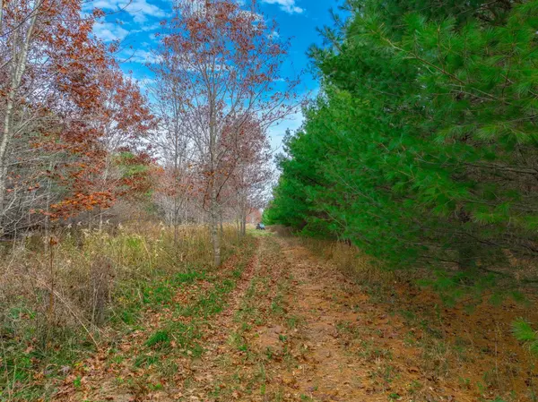 Hammond Twp, WI 54015,xxx Lot #9 110th AVE