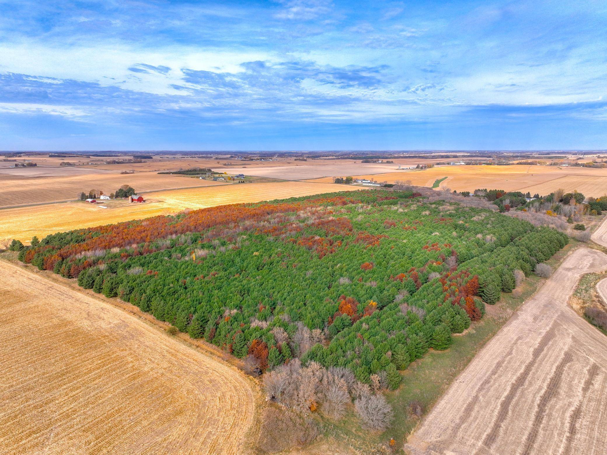 Hammond Twp, WI 54015,xxx Lot#24 110th AVE