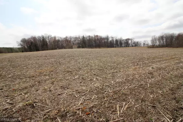 Martell Twp, WI 54022,XXX 690th ST