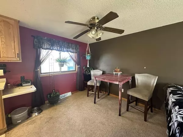 Paynesville, MN 56362,538 Sunrise AVE