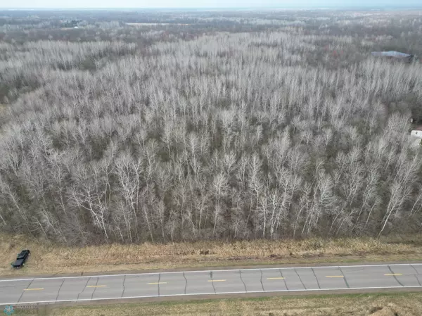 Page Twp, MN 56353,xxx 220th St