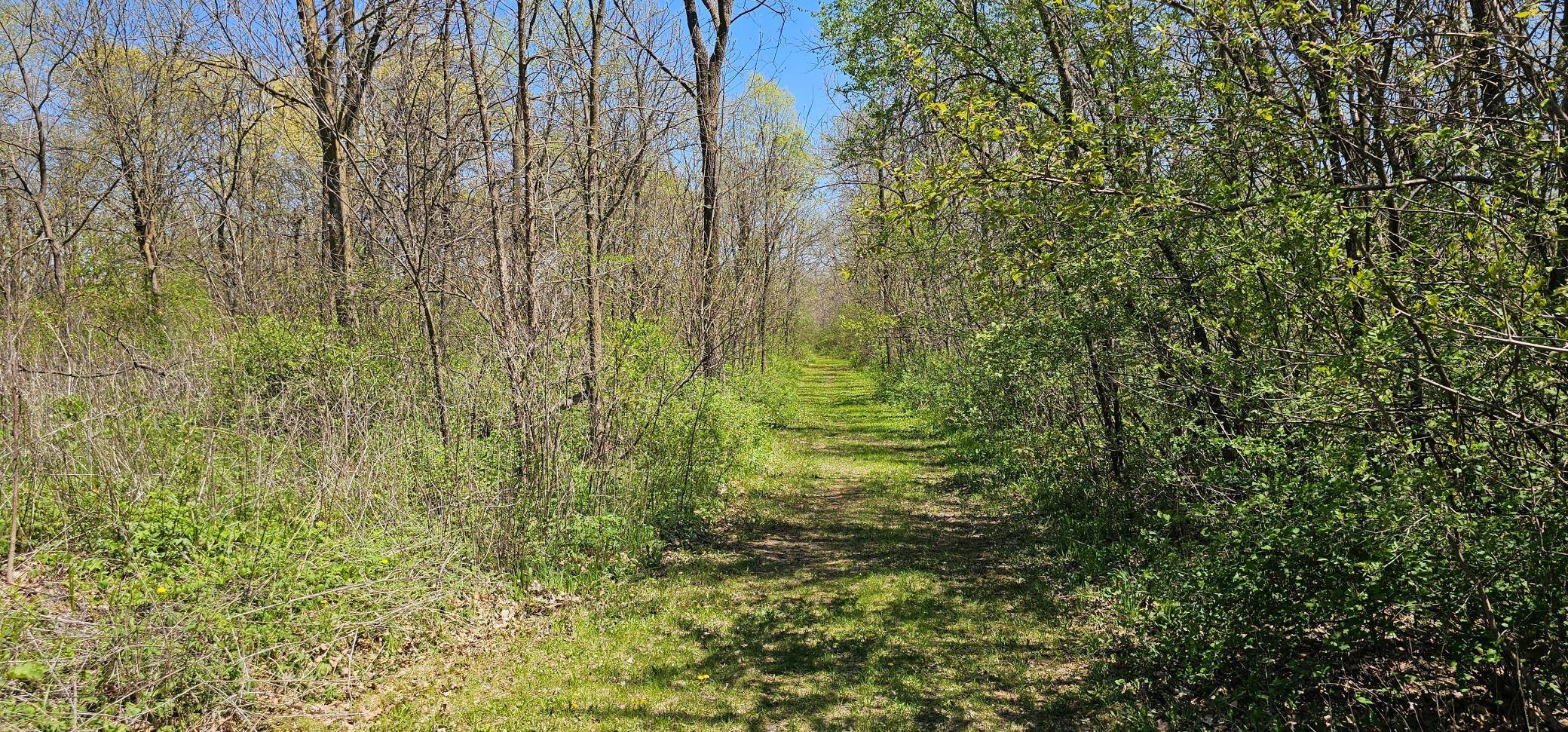 Carimona Twp, MN 55965,26856 County 14