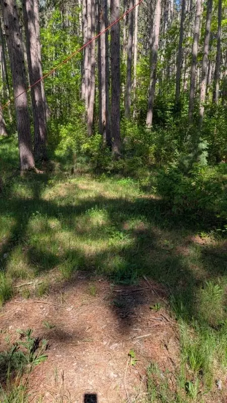 Pequot Lakes, MN 56472,3823 County Road 17