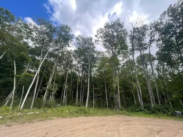 Crosslake, MN 56442,0 Levi LN