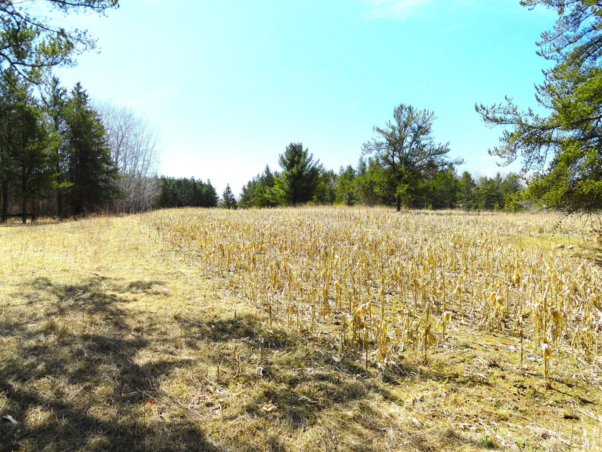 Akeley, MN 56433,3380 NW 68th AVE NW