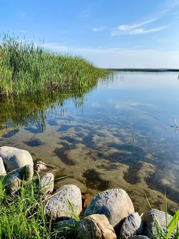 Alexandria, MN 56308,7355 Little Mary CIR SW