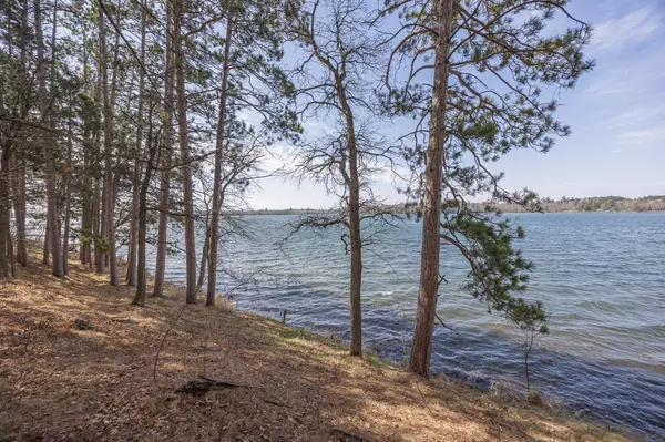Longville, MN 56655,TBD Broadwater LN NE