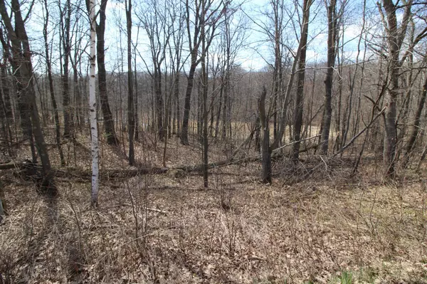 Randall, MN 56475,XXX Lake Camille Dr.