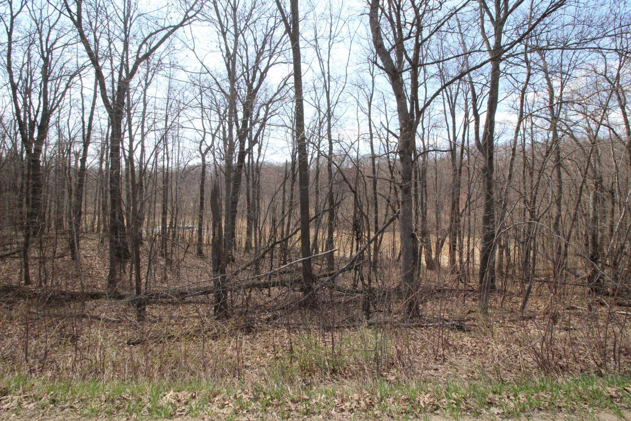 Randall, MN 56475,XXX Lake Camille Dr.