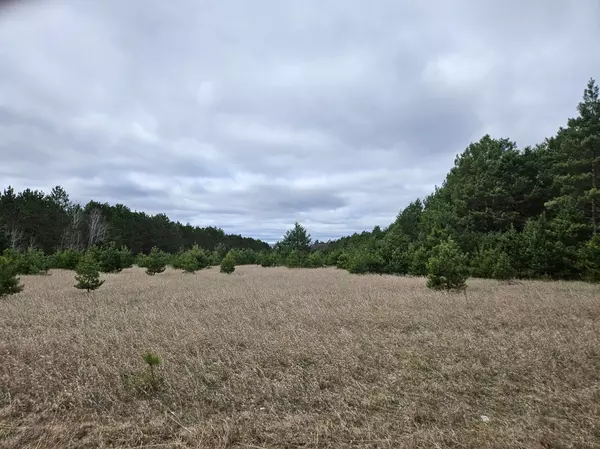 TBD 50th AVE,  Crow Wing Twp,  MN 56401