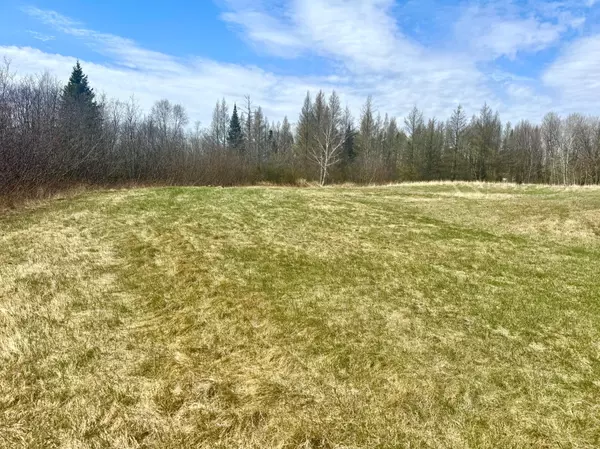 Mcgregor Twp, MN 55760,TBD-10AC 170th PL