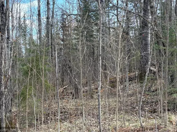 48613 334th PL, Palisade, MN 56469