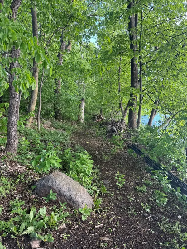 Dassel, MN 55325,Lot 3 Block 1 746th AVE