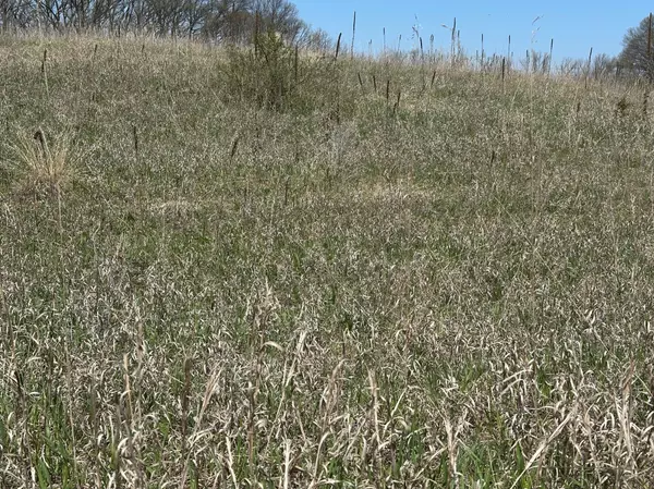 Princeton, MN 55371,XXX 146th ST NW