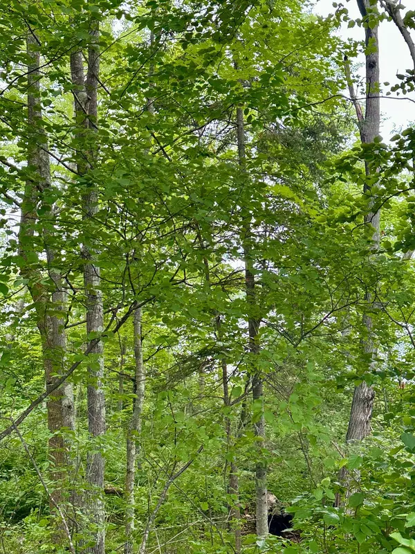 Aitkin, MN 56431,Lot 11 Block 1 Opah's Landing