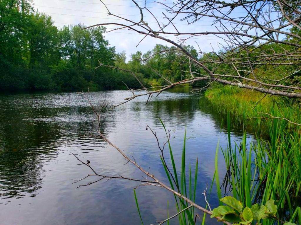 Couderay, WI 54828,Lot 1 State Road 27/70