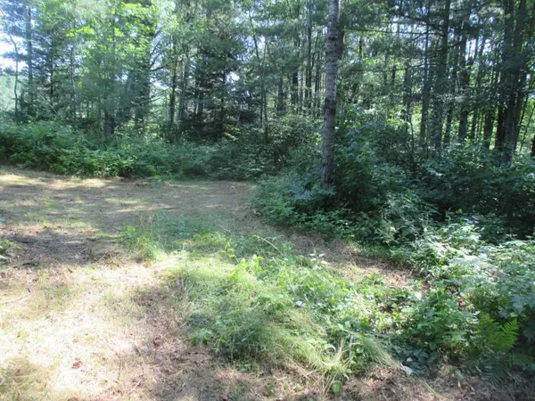 Couderay, WI 54828,Lot 2 State Road 27/70