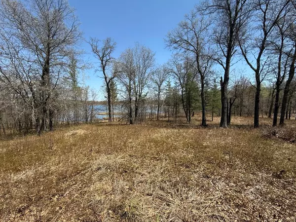 Danbury, WI 54830,29925 N Bay DR
