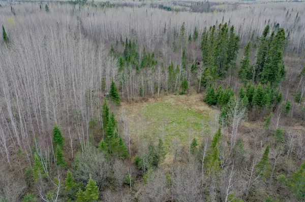 Orr, MN 55771,TBD Sethers Rd.