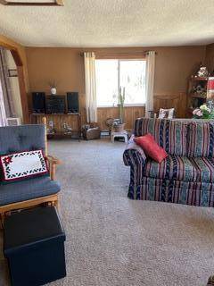 Dell Grove Twp, MN 55072,52110 W Grindstone RD