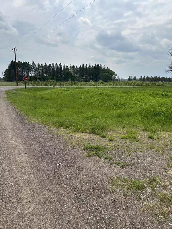 Automba Twp, MN 55757,XXXX Finn RD