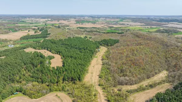 N43922 Cr-O, Hale Twp, WI 54758