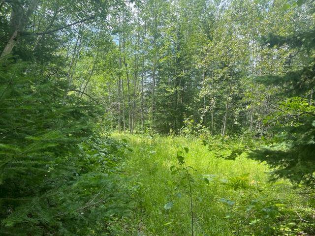 Nashwauk, MN 55769,TBD Little Whitefish Trail