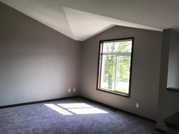 Isanti, MN 55040,1317 Tiger CT NE