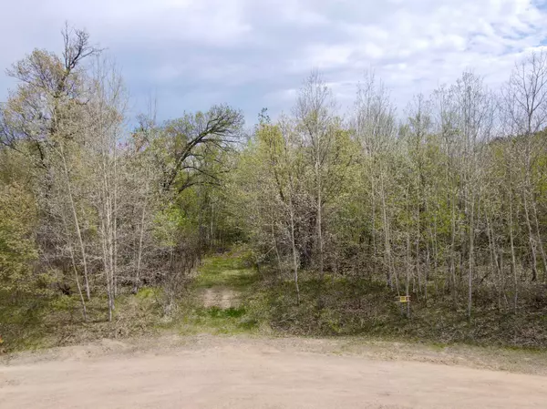 Leaf Lake Twp, MN 56527,TBD Curly Dr