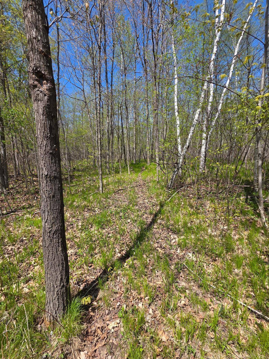 Vance Creek Twp, WI 54004,00 4th