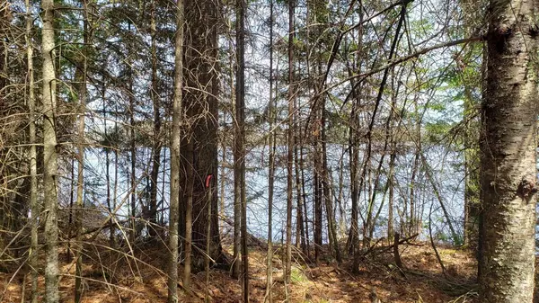 Cook, MN 55723,TBD Muskego Point