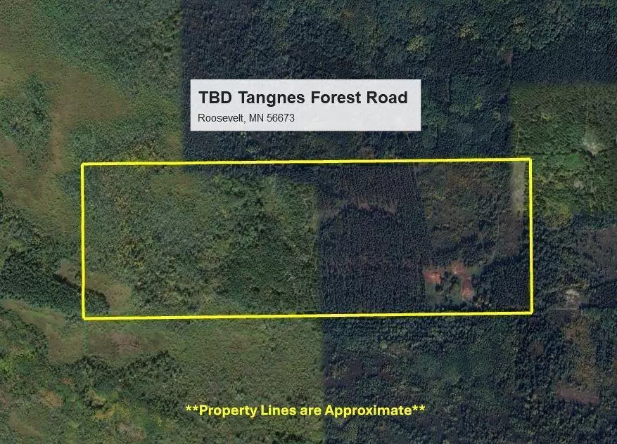 Roosevelt, MN 56673,TBD Tangnes Forest Road