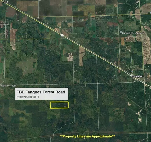 Roosevelt, MN 56673,TBD Tangnes Forest Road