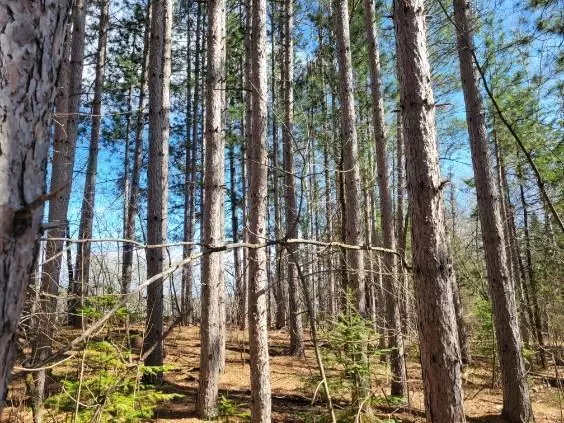 Roosevelt, MN 56673,TBD 695th AVE