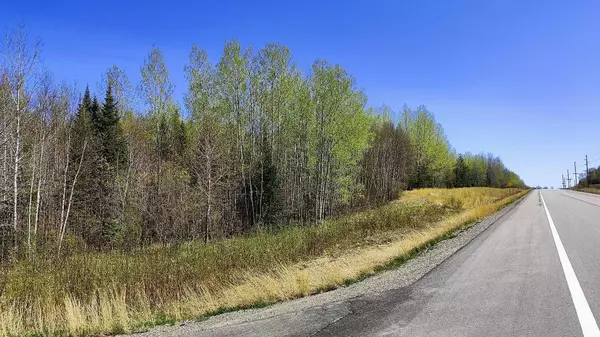 Greenwood Twp, MN 55790,TBD5 Hwy. 115