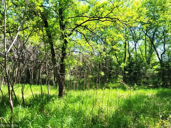 South Haven, MN 55382,14XXX County Road 44