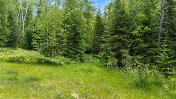 Greenwood Twp, MN 55790,6301 Hunters PASS