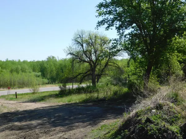 Stony Run Twp, MN 56265,TBD Hwy 212