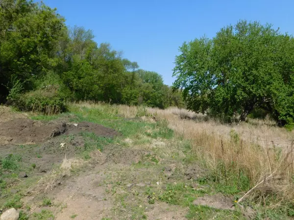 Stony Run Twp, MN 56265,TBD Hwy 212