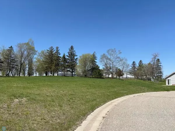 Frazee, MN 56544,1115 Red Willow CIR